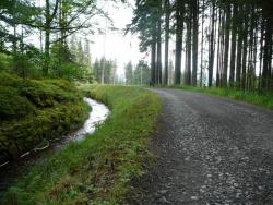 Tip na výlet - Podél Schwarzenberského kanálu