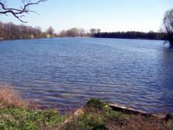 Tip na výlet - Podleský rybník v Uhříněvsi